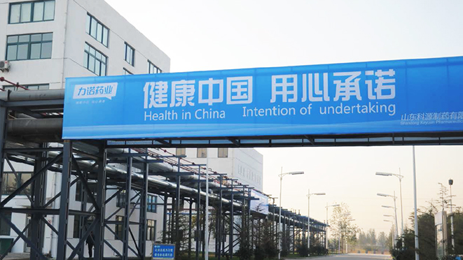 Shandong Linuo Pharmaceutical Co., Ltd.